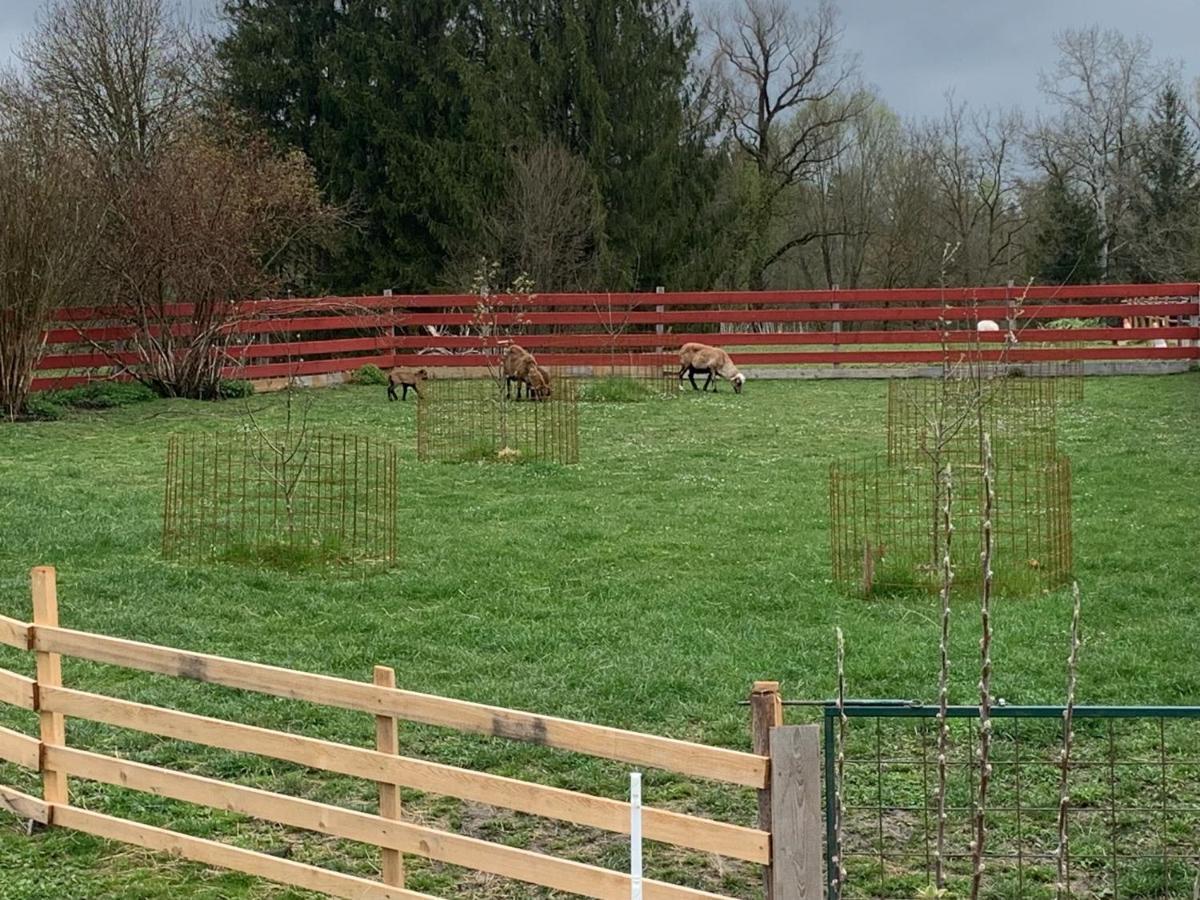 Ferienhaus Spielburg Altötting Zewnętrze zdjęcie